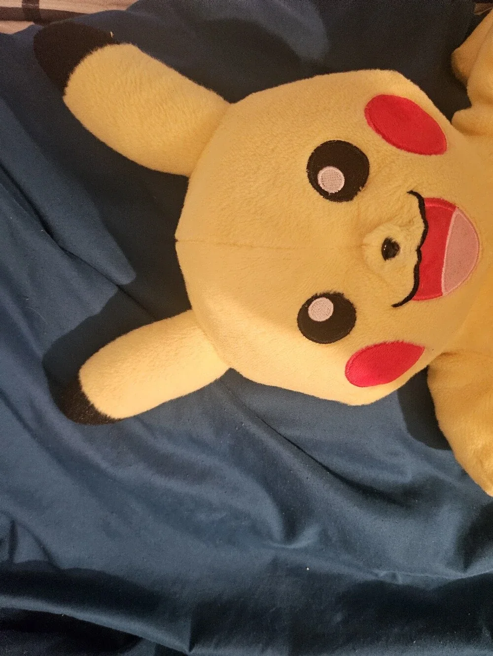 Pokemon soft pikachu